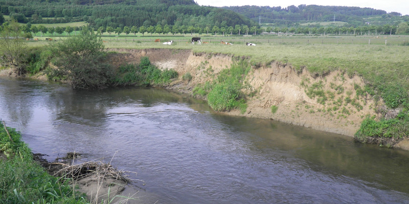 Foto: Ein Fluss mit starker Eintiefung. Im Hintergrund sind landwirtschaftlich genutzte Flächen zu sehen, die bis an den Gewässerrand reichen.