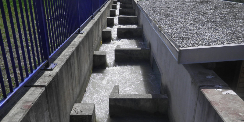 Foto: Eine technische Wanderhilfe aus Beton mit strömungsberuhigten Zonen für den Aufstieg und Abstieg von Lebewesen.