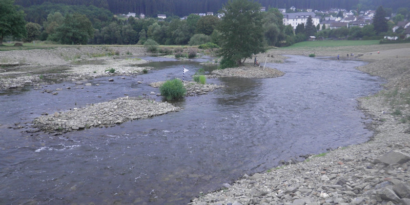 Foto: Die Ruhr bei Oeventrop mit steinig kiesigen Ufern. In der Mitte des Gewässers sind mehrere Kiesbänke, teils mit Bäumen und Sträuchern bewachsen. Im Hintergrund liegen Waldflächen und eine Siedlung.