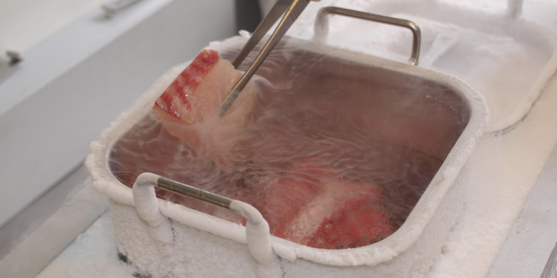 Processing of a fish samples at the University of Trier