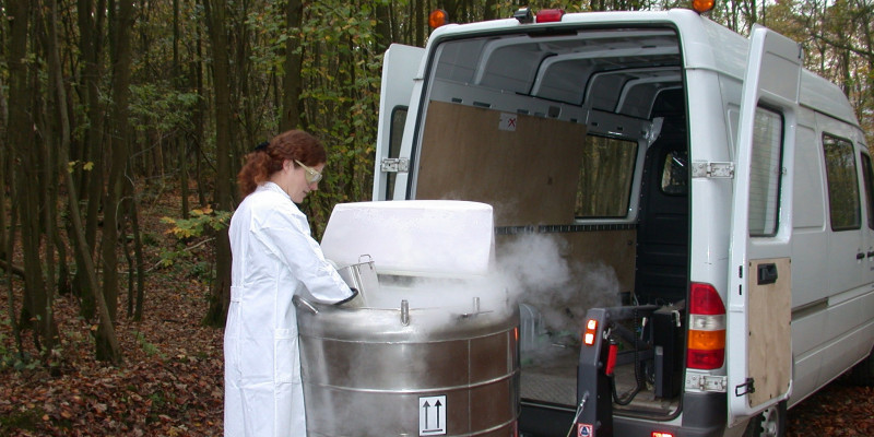 Tree sampling in the forest