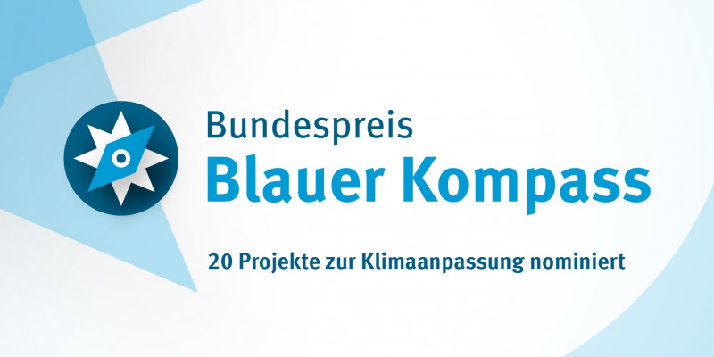 Grafik "Blauer Kompass"