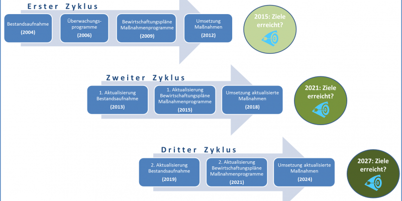Schaubild: Zyklus der Wasserrahmenrichtlinie