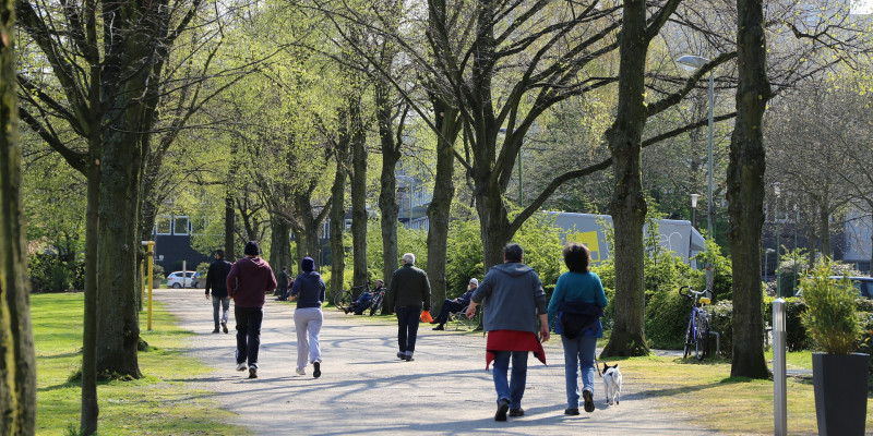 People walking in a park.