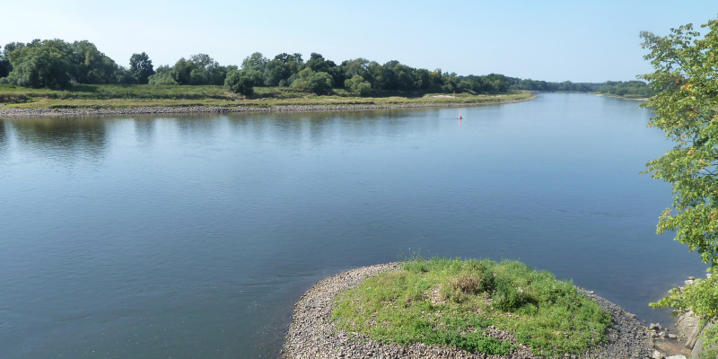 Ein Bild vom Fluss Elbe