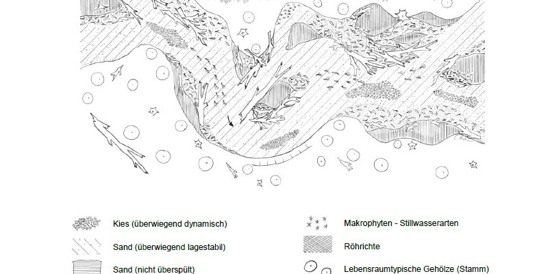 Skizze des Habitats des sandigen Tieflandbachs