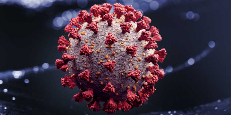 Darstellung eines Corona-Virus