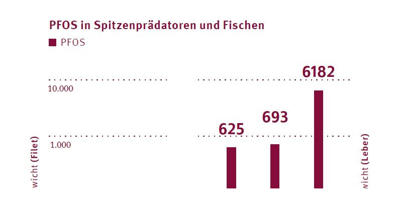 Balkengrafik mit PFOS-Gehalten.