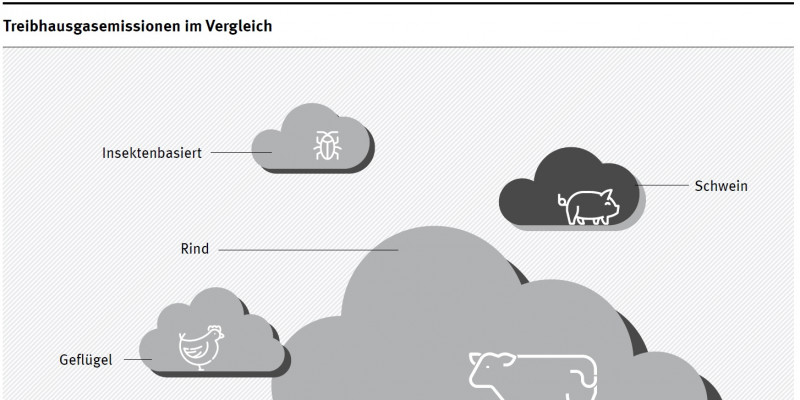 Wolkengrafik Treibhausgasemissionen insektenbasierten Fleischersatzes im Vergleich