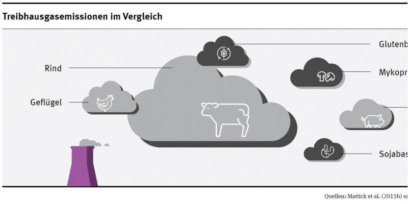 Wolkengrafik Treibhausgasemissionen pflanzlicher Fleischersatzstoffe im Vergleich