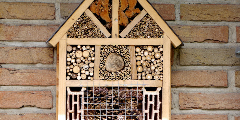 Insektenhotel