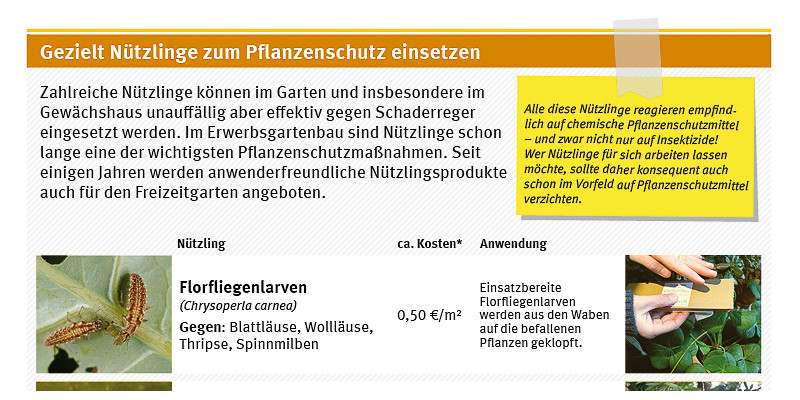 Zahlreiche Nützlinge können im Garten und im Gewächshaus unauffällig aber effektiv gegen Schaderreger eingesetzt werden.