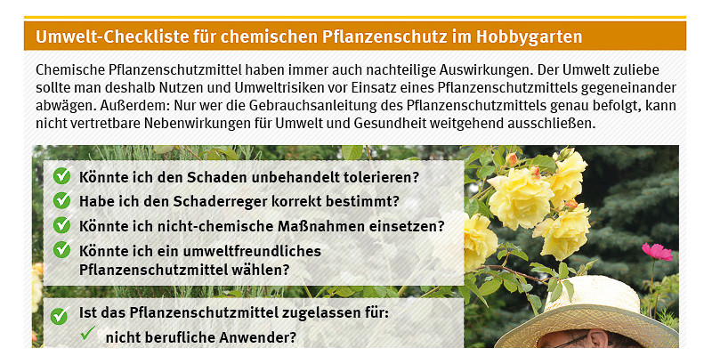 Umwelt-Checkliste für chemischen Pflanzenschutz im Hobbygarten mit einem bärtigen Mann mit Brille und Hut, der die Rosen schneidet im Hintergrund