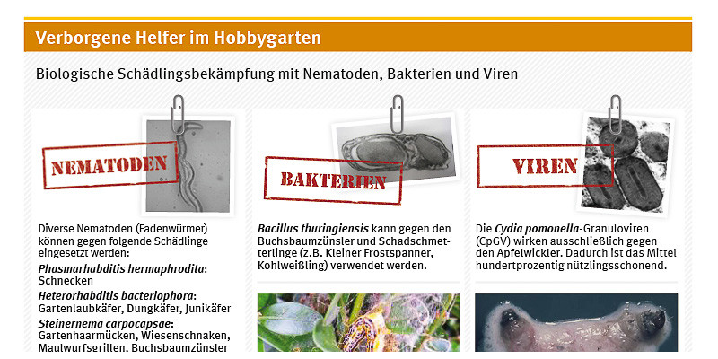 Biologische Schädlingsbekämpfung mit Nematoden, Bakterien und Viren