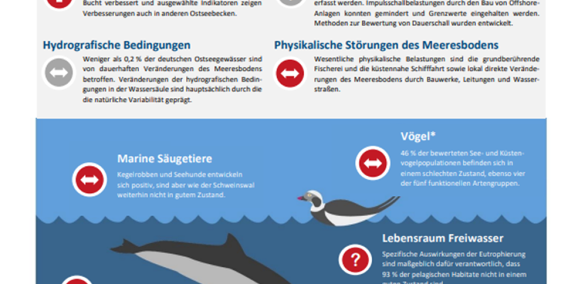 Auf der Grafik werden die Bewertungsergebnisse der nationalen Zustandsberichte für Ostsee für die Jahre 2016-2021 dargestellt. 