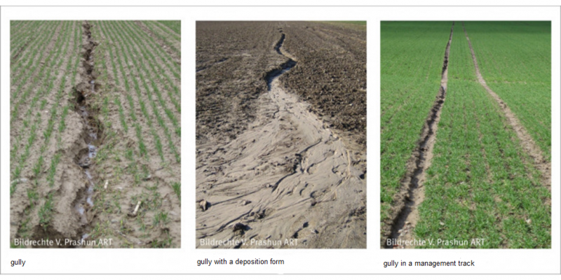 Figure 3: Linear soil loss forms are very diverse and easy to capture 
