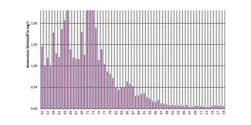 Jahresmittelwerte zeigen, dass 1955 bis 1975 die mittleren Konzentrationen des Ammoniums von 1 auf etwa 2,5 mg Stickstoff pro Liter (N/l) zunächst stark anstiegen. Seit Mitte der 1970er Jahren sind sie rückläufig und liegen derzeit bei 0,035 mg N/l.