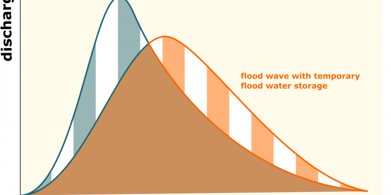 Figure 1: Principle change in a flood wave due to intermediate storage. If water is retained in the area because the river has room to spread out, the flood wave is less steep. However, the discharge rate remains constant (hatched areas are the same size). Figure according to the Bavarian State Office for the Environment.