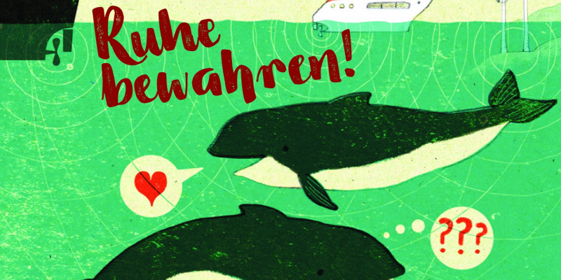2 Wale im Wasser