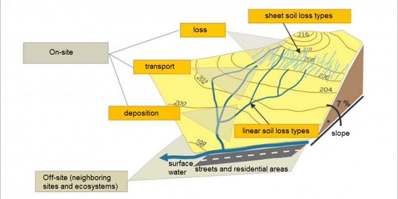 Figure 1: Schematic figure of the process caused by soil loss by water (on-site soil loss forms and off-site deposition). 