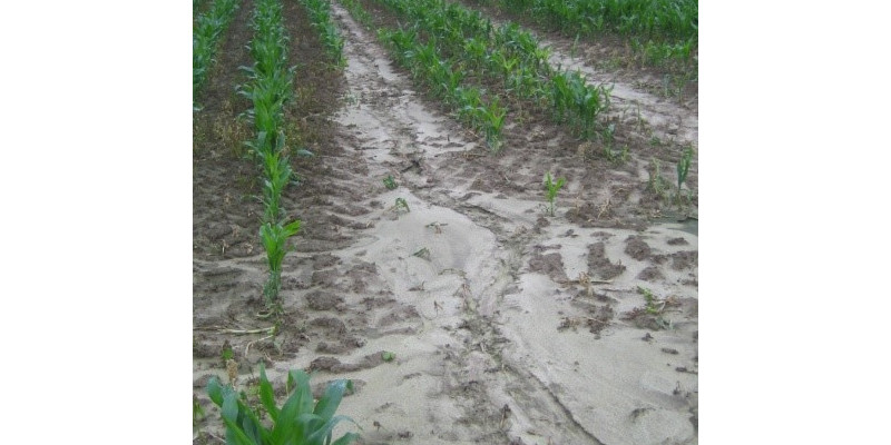 Soil loss by water on the field