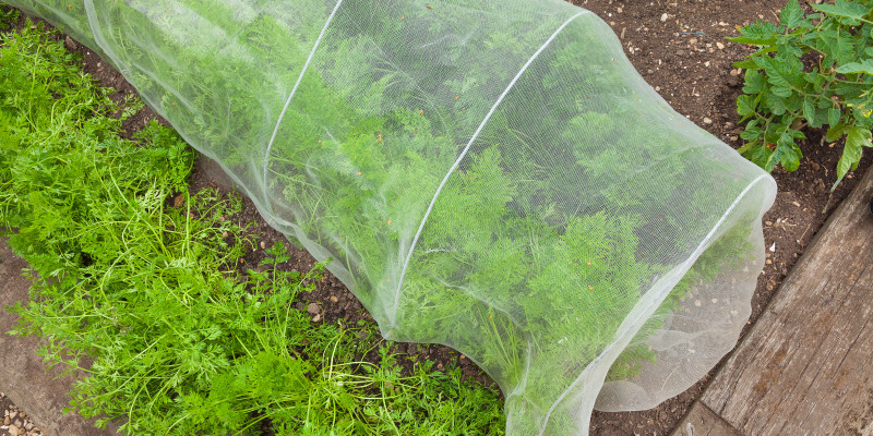 Pflanzenschutz Netz Insektennetz Gemüsebeete Schutz Gartennetz Schädlingsschutz 