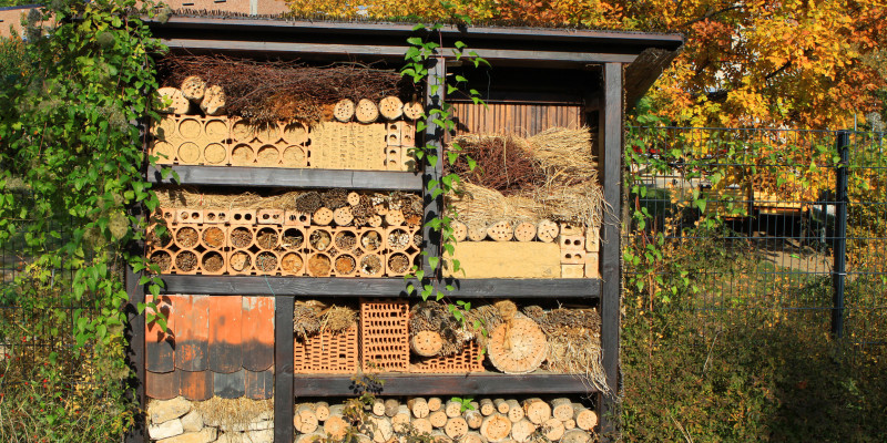 Insektenhotel