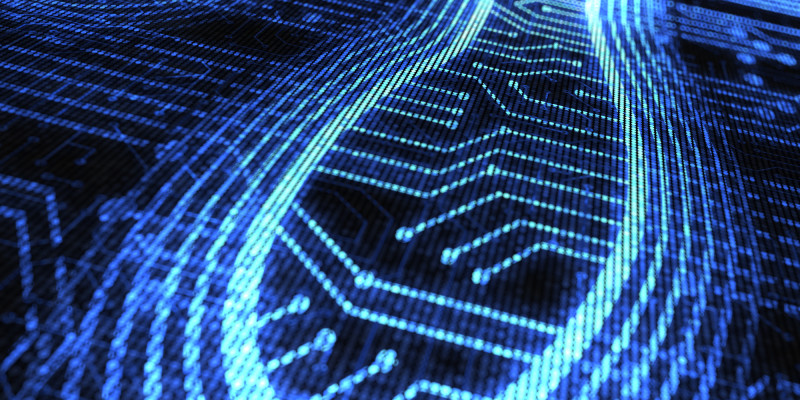 Der erhebliche Fußabdruck der Digitalisierung muss besser verstanden werden
