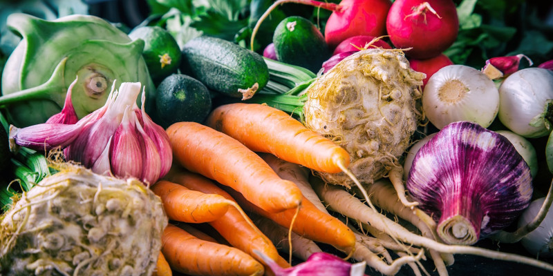 Verschiedene Gemüse wie Möhren, Knoblauch, Sellerieknollen und eine Zucchini
