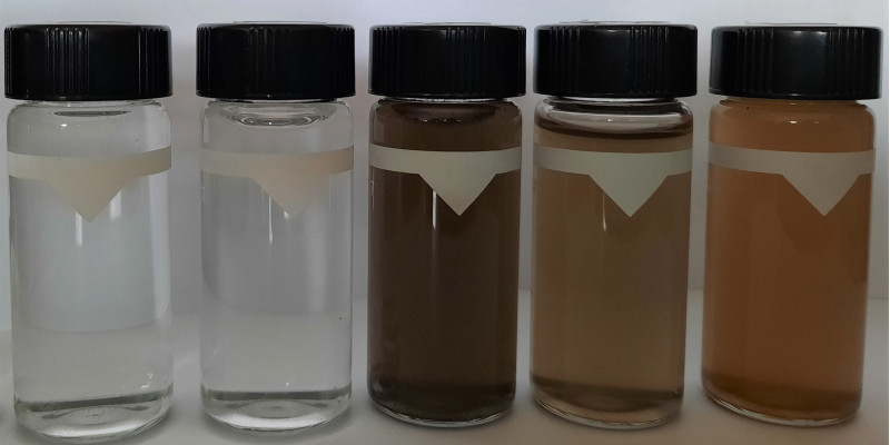 Fünf Labor-Flaschen mit unterschiedlich gefärbter Flüssigkeit von durchsichtig bis braun-schwarz