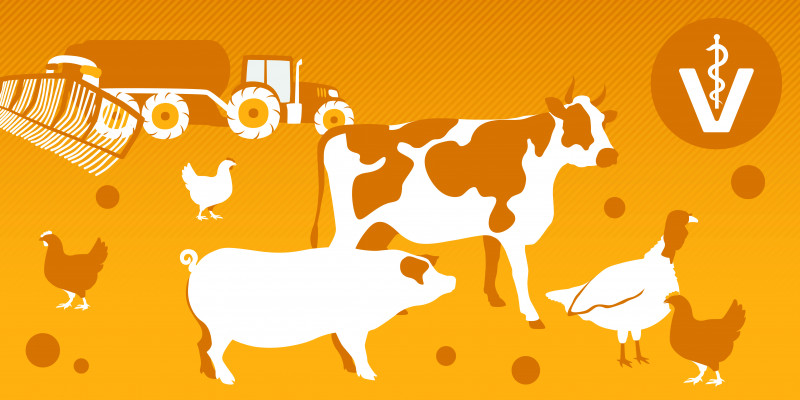 Zeichnung mit folgenden Motiven: Traktor mit Güllebehälter und Schleppschlauchvorrichtung zur Gülleausbringung, Veterinärzeichen, Rind, Schwein, Pute, Hühner