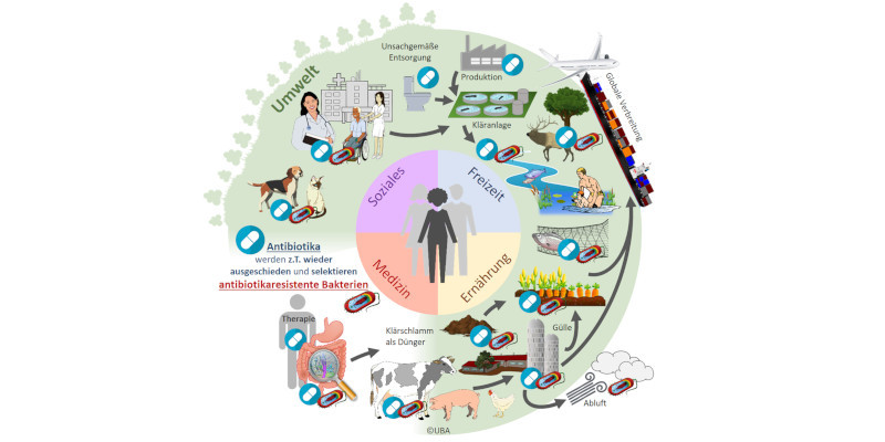 Die Umwelt ist Reservoir und Überträger antibiotikaresistenter Bakterien. 