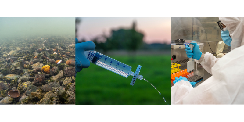 Bild Umwelt DNA Workflow