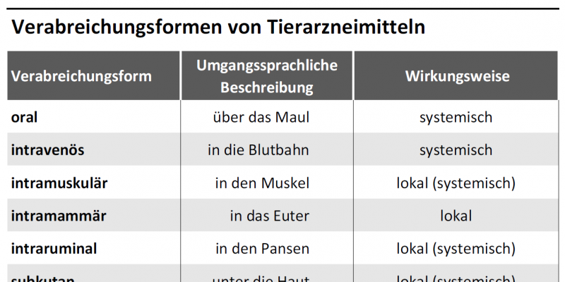 Tabelle listet Verabreichungsformen, deren umgangssprachliche Beschreibung und Wirkungsweise auf.