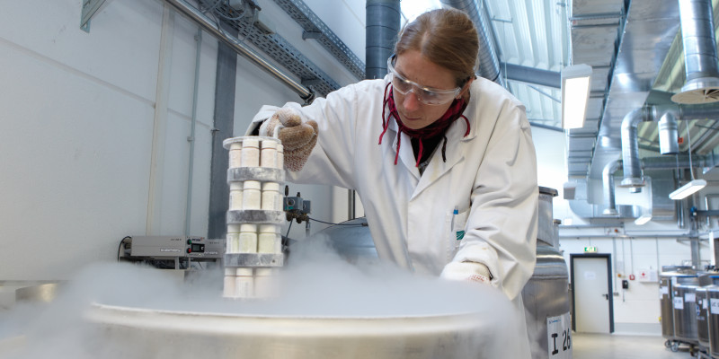 photo of a women working in the Environmental specimen bank
