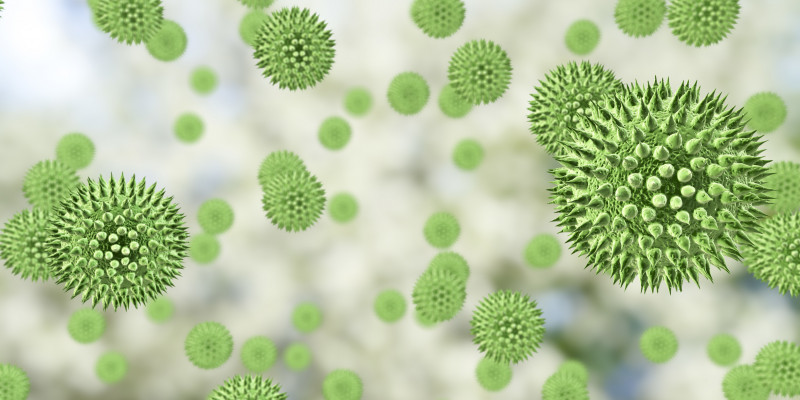 Illustration mit stark vergrößerter 3D-Darstellung von Pollenkörnern