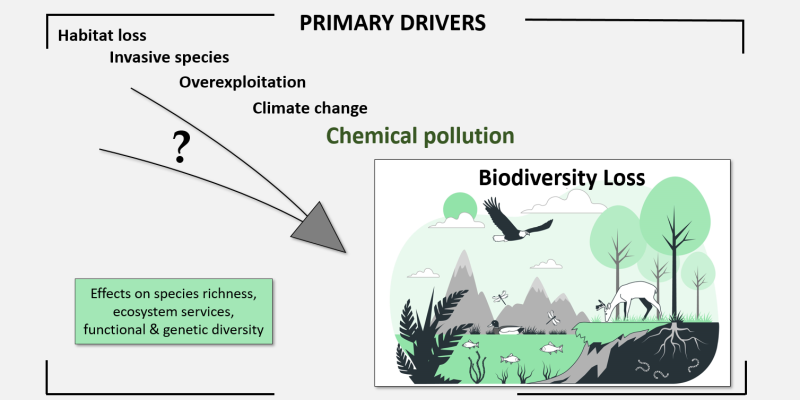 eine Grafik zur Illustration für verschiedene Treiber von Biodiversitätsverlust