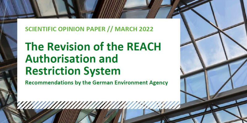 The Revision of the REACH Authorisation and Restriction System