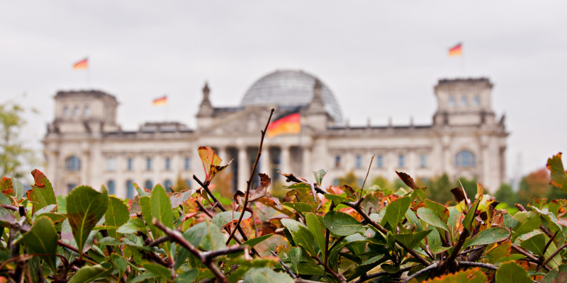 the Reichstags dome behind plants