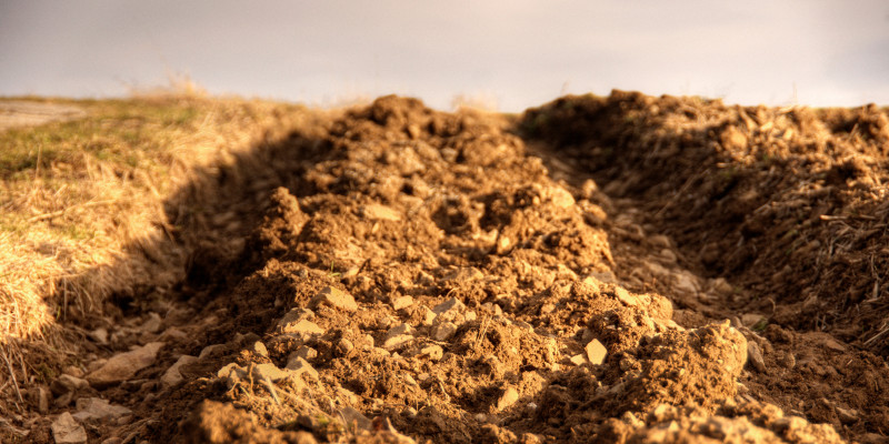 freshly ploughed field