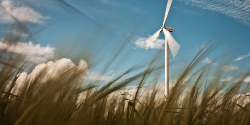 Wind power station in a crop field