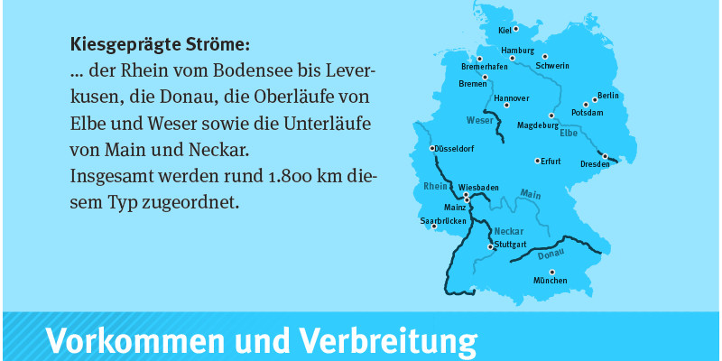 Karte die das Vorkommen in Deutschland von kiesgerägten Ströme aufzeigt.