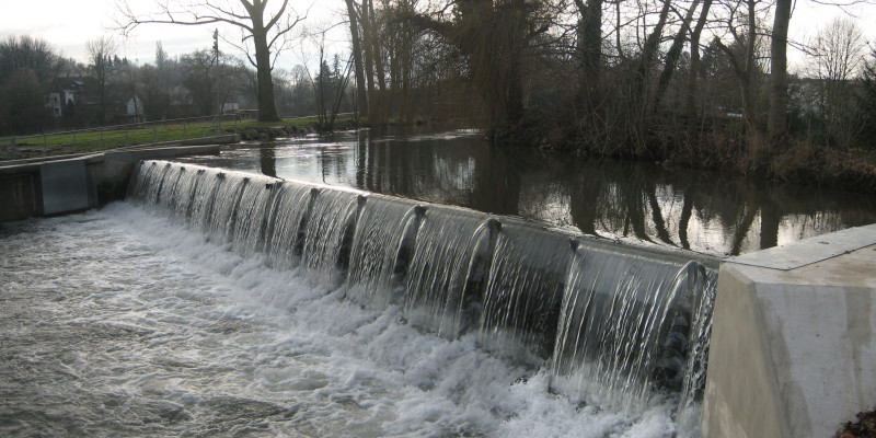 Die Wasserkraftanlage in Bad Sulza mit dem Wehr Bäume und Sträucher