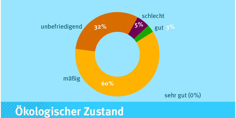 zeigt in einem Diagramm den ökologischen Zustand 2015