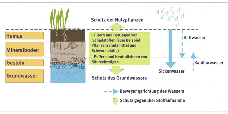 Soil as filter.