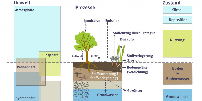 Schaubild: Die Bodendauerbeobachtung ist ein zentrales Instrument der Umweltbeobachtung