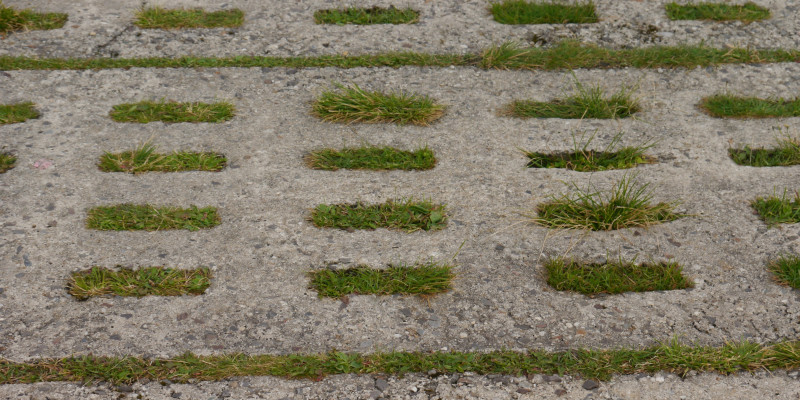 Photo of concrete slabs with gras growing through