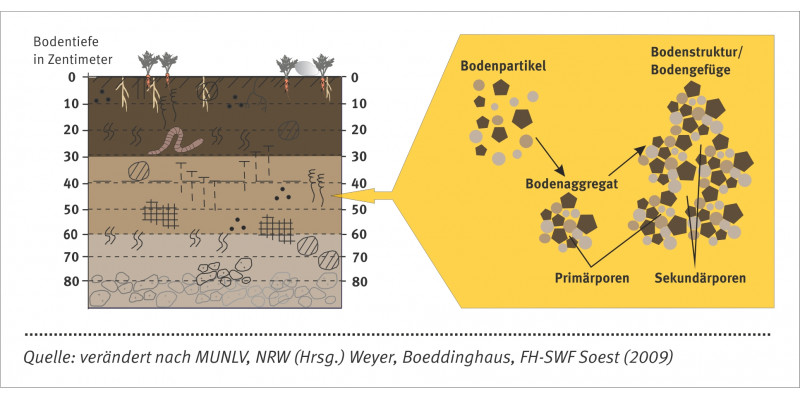 Composition of soil.