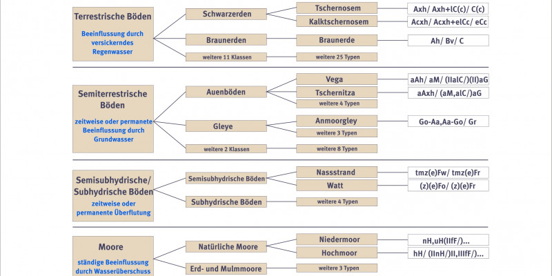 Scheme of soil and its systematics