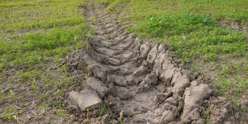 Phot of a deep tyre track on an arable.